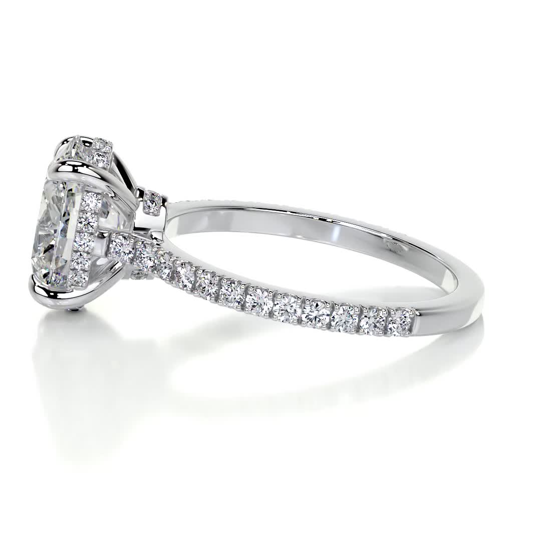 Dionne Moissanite & Diamond Ring -14K White Gold (RTS)